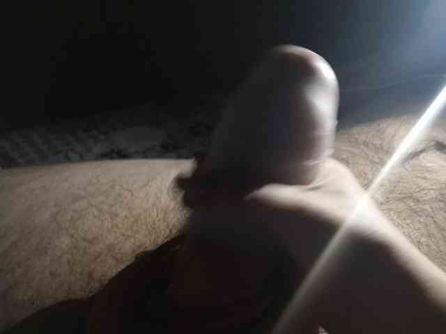 Shardin19
